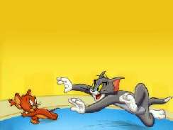 Tom és Jerry 10 képek