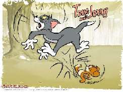 Tom és Jerry 13 képek