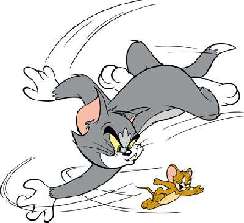 Tom és Jerry 19 képek