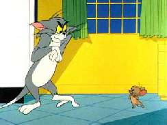 Tom és Jerry 38 képek