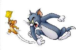 Tom és Jerry 49 képek