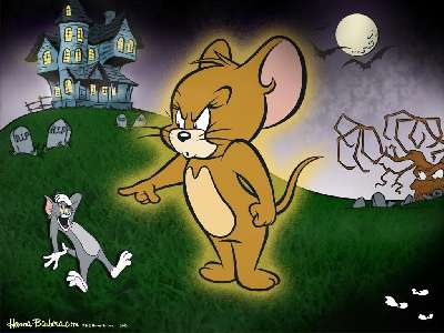 Tom s Jerry 11 kp