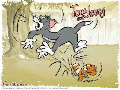 Tom s Jerry 13 kp