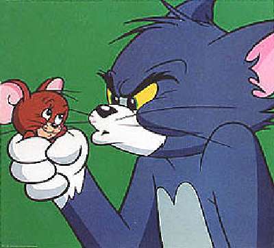 Tom s Jerry 28 kp